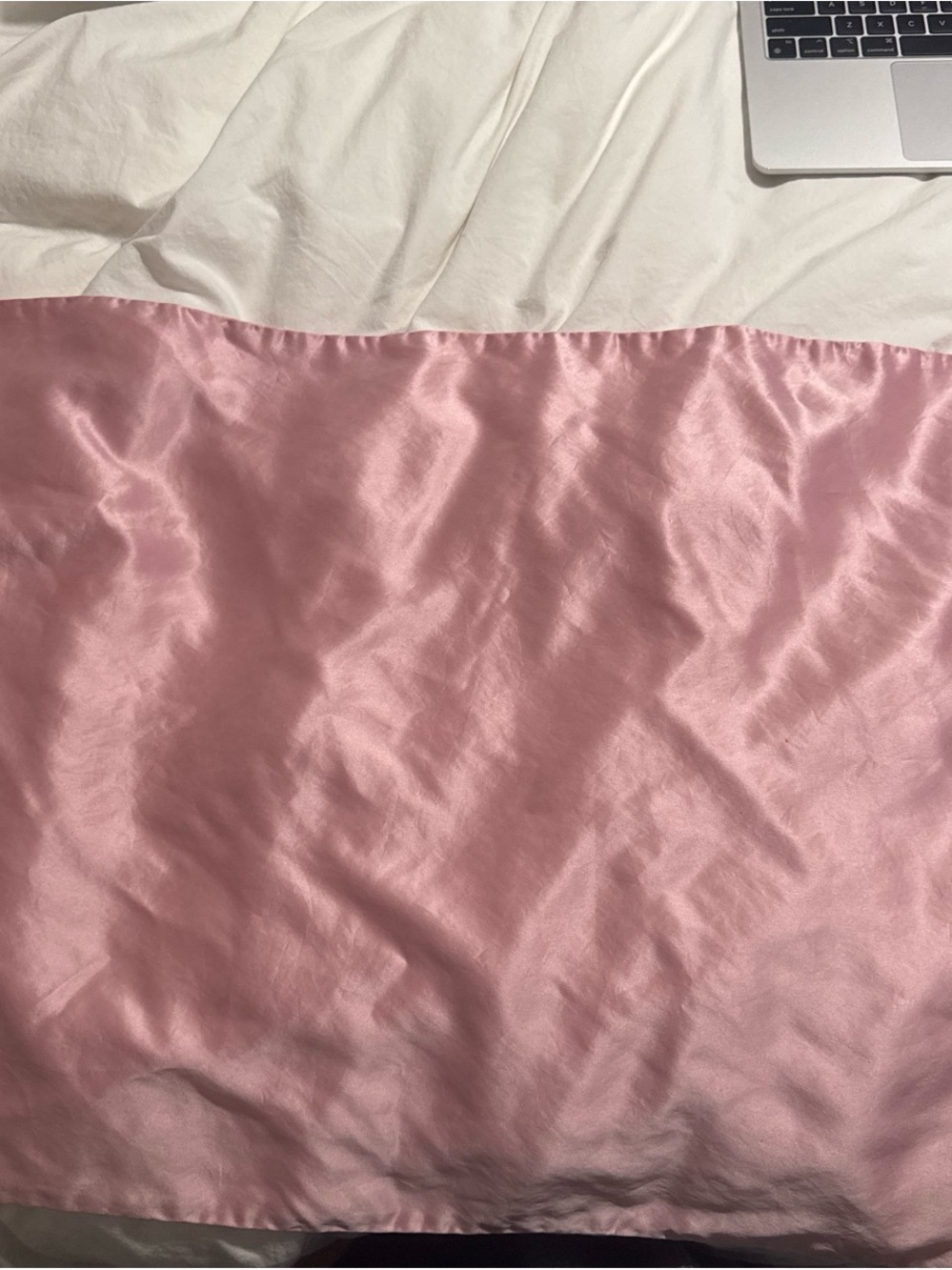 Pink Slip Pure Silk Queen Pillowcase